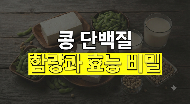 매일 콩을 먹어야 하는 이유: 콩 단백질 함량부터 놀라운 효능까지