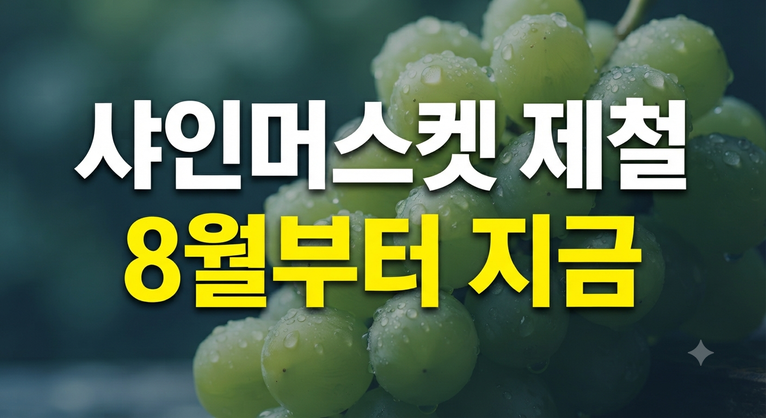 당도 높은 샤인머스켓, 제철 시기와 칼로리 그리고 건강 효능 알아보기